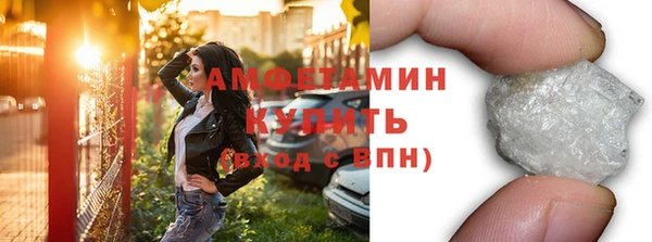 мет Алексин