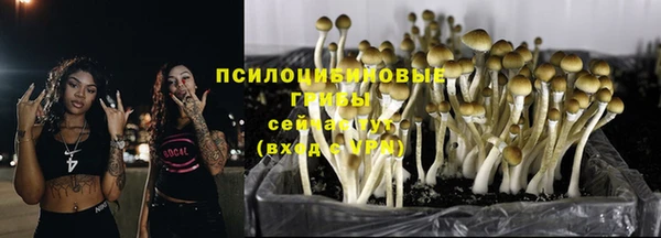 мет Алексин