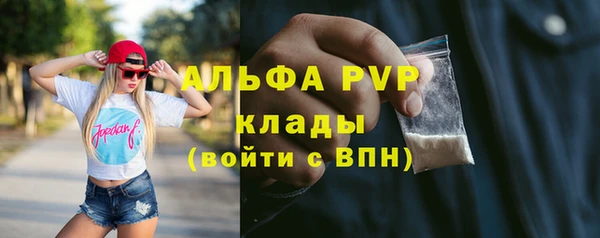 твердый Алзамай