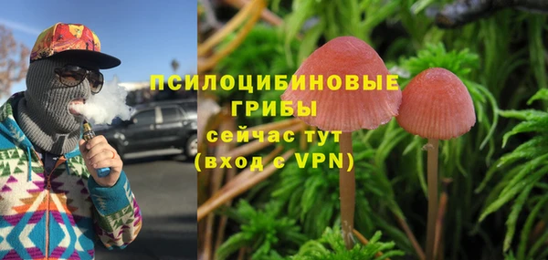 ешки Алексеевка